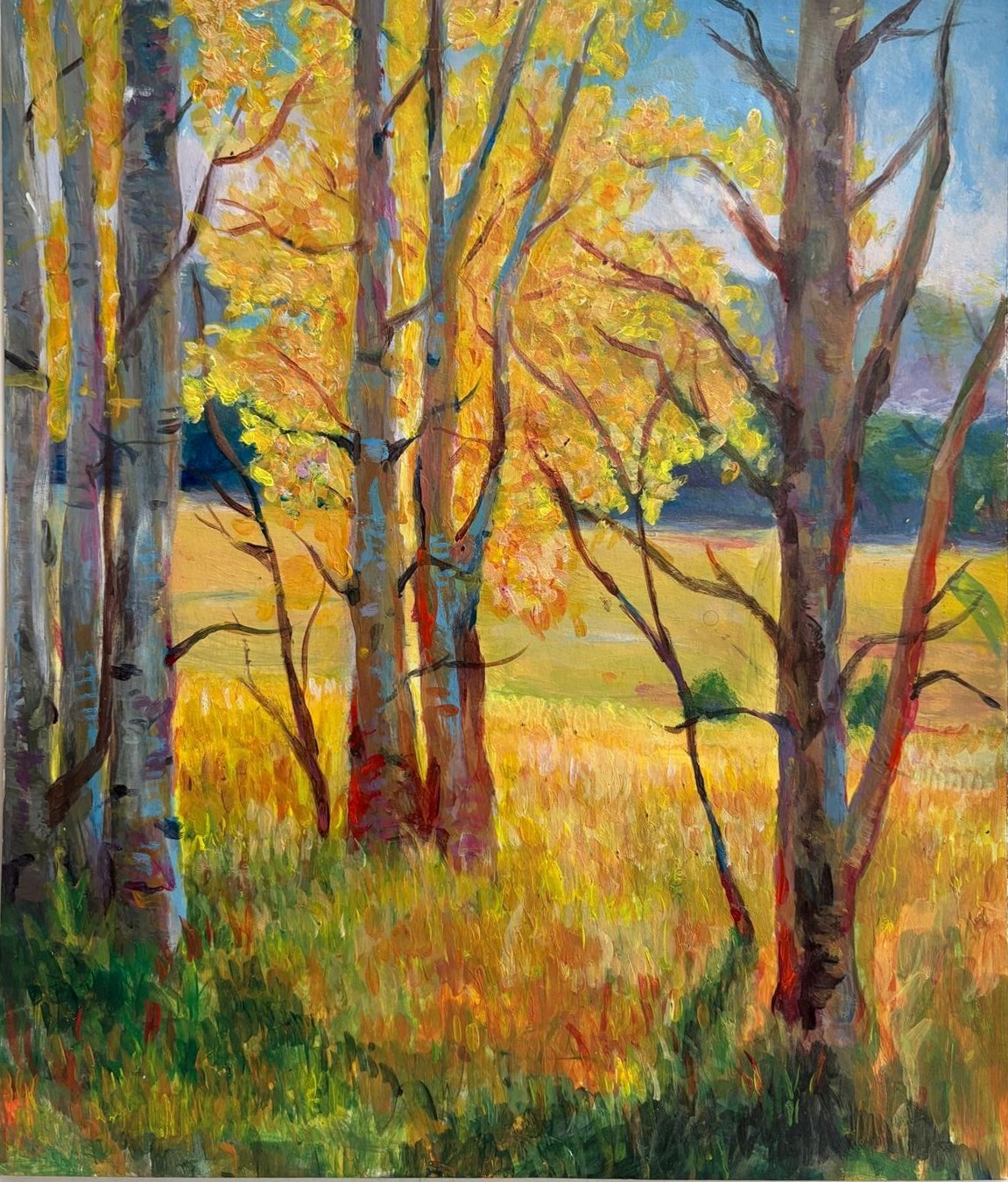 Aspen Study